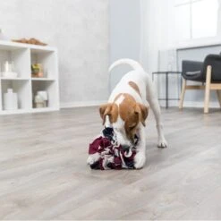 TRIXIE Snackspielzeug Schnüffelball -Hundefutter Welt Verkaufsgeschäft trixie snackspielzeug schnueffelball 1621926733