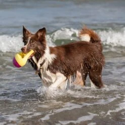 TRIXIE Aqua Toy Haiflosse Hundespielzeug -Hundefutter Welt Verkaufsgeschäft trixie wasserspielzeug haiflosse 1655821226