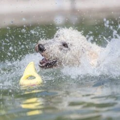 TRIXIE Aqua Toy Haiflosse Hundespielzeug -Hundefutter Welt Verkaufsgeschäft trixie wasserspielzeug haiflosse 1655821231
