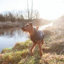 TRIXIE Wintermantel Für Hunde Explore -Hundefutter Welt Verkaufsgeschäft trixie wintermantel fuer hunde explore 1609754196