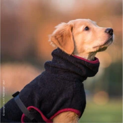 ActionFactory Fit4dogs Dryup Mini Trockenmantel Für Hunde -Hundefutter Welt Verkaufsgeschäft trockenmantel fuer hunde fit4dogs dryup mini 1548426659