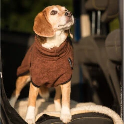 ActionFactory Fit4dogs Dryup Mini Trockenmantel Für Hunde -Hundefutter Welt Verkaufsgeschäft trockenmantel fuer hunde fit4dogs dryup mini 1548426786