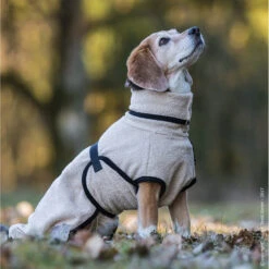 ActionFactory Fit4dogs Dryup Mini Trockenmantel Für Hunde -Hundefutter Welt Verkaufsgeschäft trockenmantel fuer hunde fit4dogs dryup mini 1548427103