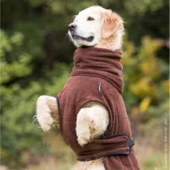 ActionFactory Trockenmantel Hund Fit4dogs Dryup Cape -Hundefutter Welt Verkaufsgeschäft trockenmantel hund fit4dogs dryup cape 1548423981