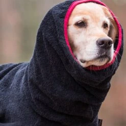 ActionFactory Trockenmantel Hund Fit4dogs Dryup Cape -Hundefutter Welt Verkaufsgeschäft trockenmantel hund fit4dogs dryup cape 1574249591