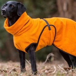 ActionFactory Trockenmantel Hund Fit4dogs Dryup Cape -Hundefutter Welt Verkaufsgeschäft trockenmantel hund fit4dogs dryup cape 1574249594