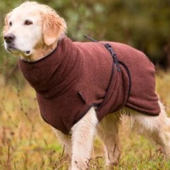 ActionFactory Trockenmantel Hund Fit4dogs Dryup Cape -Hundefutter Welt Verkaufsgeschäft trockenmantel hund fit4dogs dryup cape 1574249602