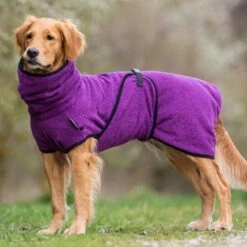 ActionFactory Trockenmantel Hund Fit4dogs Dryup Cape -Hundefutter Welt Verkaufsgeschäft trockenmantel hund fit4dogs dryup cape 1574249605