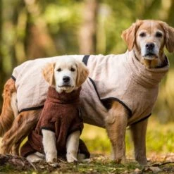 ActionFactory Trockenmantel Hund Fit4dogs Dryup Cape