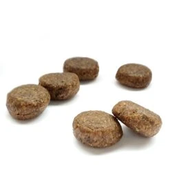 Waustark Hundefutter Mit Lachs -Hundefutter Welt Verkaufsgeschäft waustark hundefutter mit lachs 1573734692