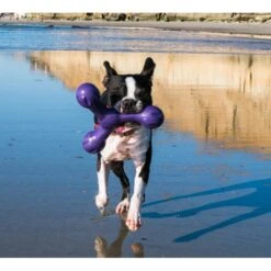 West Paw Echo Skamp Hundespielzeug -Hundefutter Welt Verkaufsgeschäft west paw echo skamp hundespielzeug 1656678683