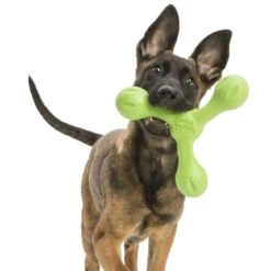 West Paw Echo Skamp Hundespielzeug -Hundefutter Welt Verkaufsgeschäft west paw echo skamp hundespielzeug 1656678686