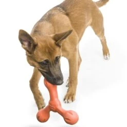 West Paw Echo Skamp Hundespielzeug -Hundefutter Welt Verkaufsgeschäft west paw echo skamp hundespielzeug 1656678691