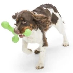 West Paw Echo Skamp Hundespielzeug -Hundefutter Welt Verkaufsgeschäft west paw echo skamp hundespielzeug 1656678704