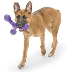 West Paw Echo Skamp Hundespielzeug -Hundefutter Welt Verkaufsgeschäft west paw echo skamp hundespielzeug 1656678715