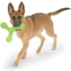 West Paw Echo Skamp Hundespielzeug -Hundefutter Welt Verkaufsgeschäft west paw echo skamp hundespielzeug 1656678721