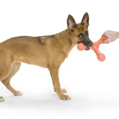 West Paw Echo Skamp Hundespielzeug -Hundefutter Welt Verkaufsgeschäft west paw echo skamp hundespielzeug 1656678731