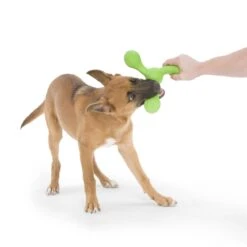 West Paw Echo Skamp Hundespielzeug -Hundefutter Welt Verkaufsgeschäft west paw echo skamp hundespielzeug 1656678745