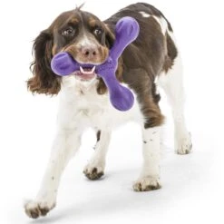 West Paw Echo Skamp Hundespielzeug -Hundefutter Welt Verkaufsgeschäft west paw echo skamp hundespielzeug 1656678766