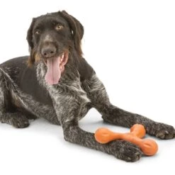 West Paw Echo Skamp Hundespielzeug -Hundefutter Welt Verkaufsgeschäft west paw echo skamp hundespielzeug 1656678773