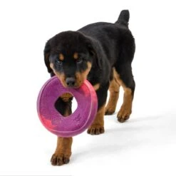 West Paw Hundefrisbee Seaflex Sailz -Hundefutter Welt Verkaufsgeschäft west paw hundefrisbee seaflex sailz 1624435980