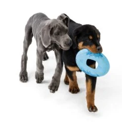 West Paw Hundefrisbee Seaflex Sailz -Hundefutter Welt Verkaufsgeschäft west paw hundefrisbee seaflex sailz 1624435985