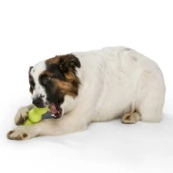 West Paw Rumpus Hundespielzeug -Hundefutter Welt Verkaufsgeschäft west paw rumpus hundespielzeug 1656675743