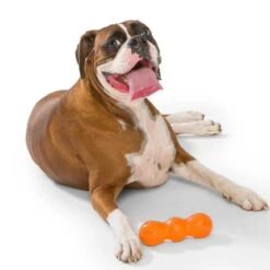 West Paw Rumpus Hundespielzeug -Hundefutter Welt Verkaufsgeschäft west paw rumpus hundespielzeug 1656675812