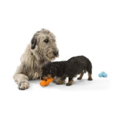 West Paw Tux Öko Hundespielzeug -Hundefutter Welt Verkaufsgeschäft west paw tux oeko hundespielzeug 1656673419