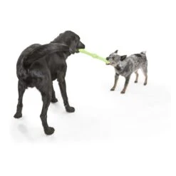 West Paw WestPaw Hundespielzeug Echo Zwig -Hundefutter Welt Verkaufsgeschäft west paw westpaw hundespielzeug echo zwig 1596037904