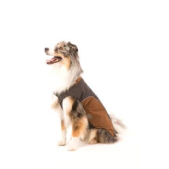 Wolters Regenjacke Für Hunde Easy Rain -Hundefutter Welt Verkaufsgeschäft wolters regenjacke fuer hunde easy rain 1539816641