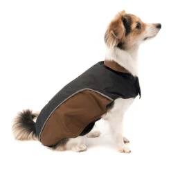 Wolters Regenjacke Für Hunde Easy Rain -Hundefutter Welt Verkaufsgeschäft wolters regenjacke fuer hunde easy rain 1539816651