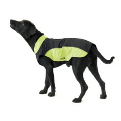 Wolters Regenjacke Für Hunde Easy Rain -Hundefutter Welt Verkaufsgeschäft wolters regenjacke fuer hunde easy rain 1539816671