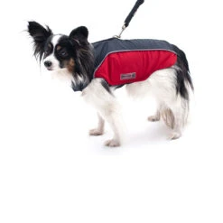 Wolters Regenjacke Für Hunde Easy Rain -Hundefutter Welt Verkaufsgeschäft wolters regenjacke fuer hunde easy rain 1539816686