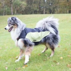 Wolters Regenjacke Für Hunde Easy Rain -Hundefutter Welt Verkaufsgeschäft wolters regenjacke fuer hunde easy rain 1614935296