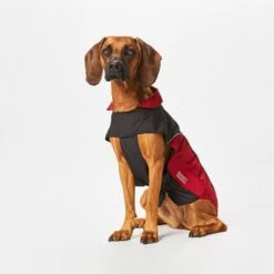Wolters Regenjacke Für Hunde Easy Rain -Hundefutter Welt Verkaufsgeschäft wolters regenjacke fuer hunde easy rain 1666594487